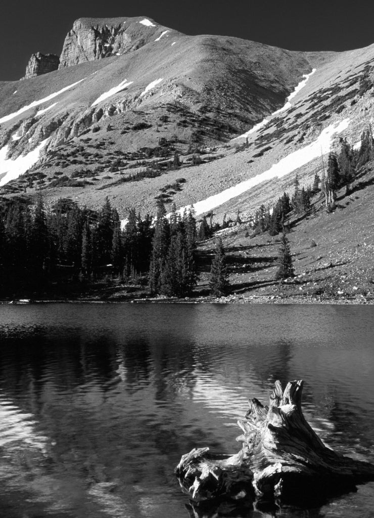 Stella Lake, Great Basin National Park, Snake Range, Nevada in black white