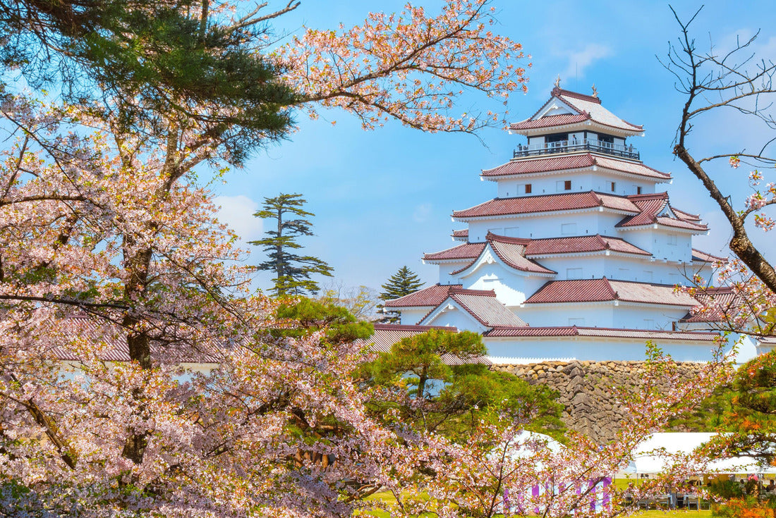 Aizuwakamatsu Castle and Cherry Blossom in Fukushima, Japan 2000pc Puzzle