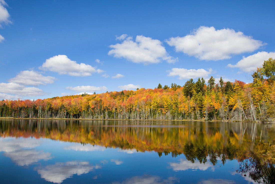 Pete's Lake in fall color Schoolcraft County, Upper Peninsula, Michigan 2000pc Puzzle