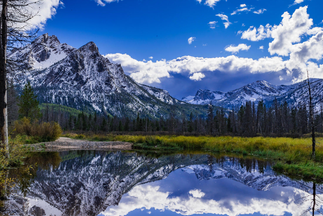 Noah Jigsaw Puzzle McGown Peak near Stanly Idaho reflected in a pond located in a wetland area near Stanley Lake 2000 pieces