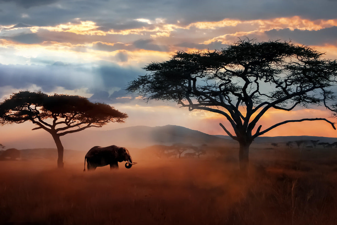Wild African elephant in the savannah. Serengeti National Park. Wildlife of Tanzania. African landscape 2000pc Puzzle