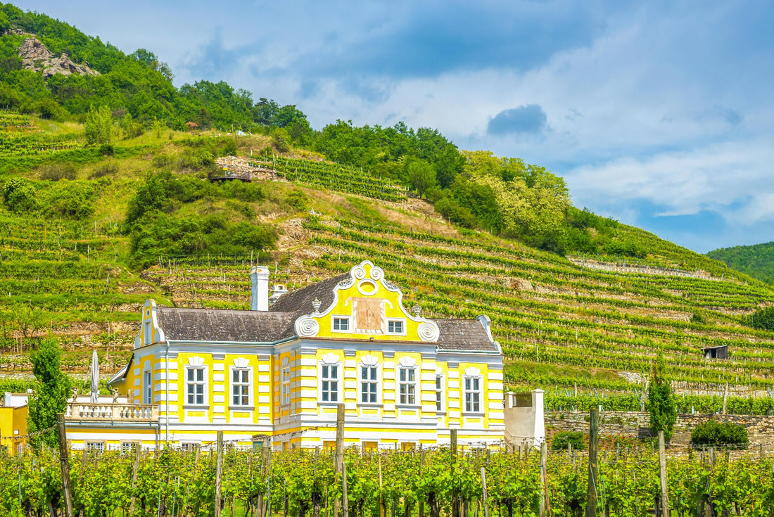 Noah Jigsaw Puzzle Wineyard in Duernstein, Wachau, Austria 2000 pieces