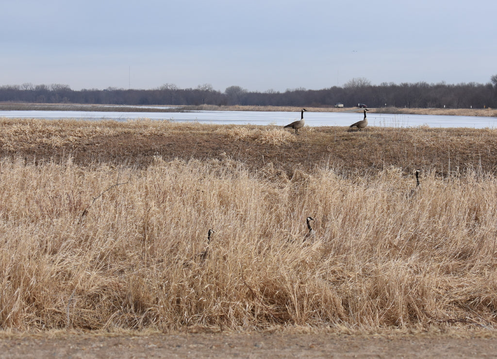 Non-Edited Butler County Iowa