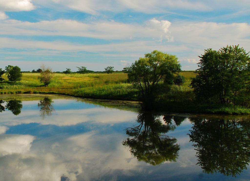 Reflections on an Iowa Pond