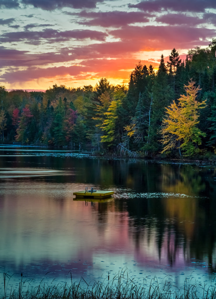 Michigan Morning