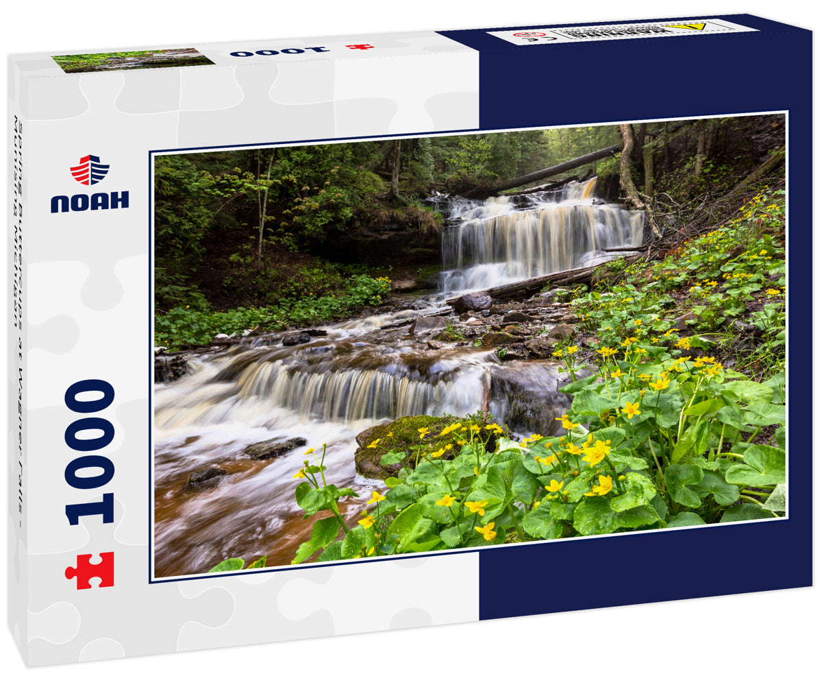 Spring Buttercups at Wagner Falls - Munising Michigan