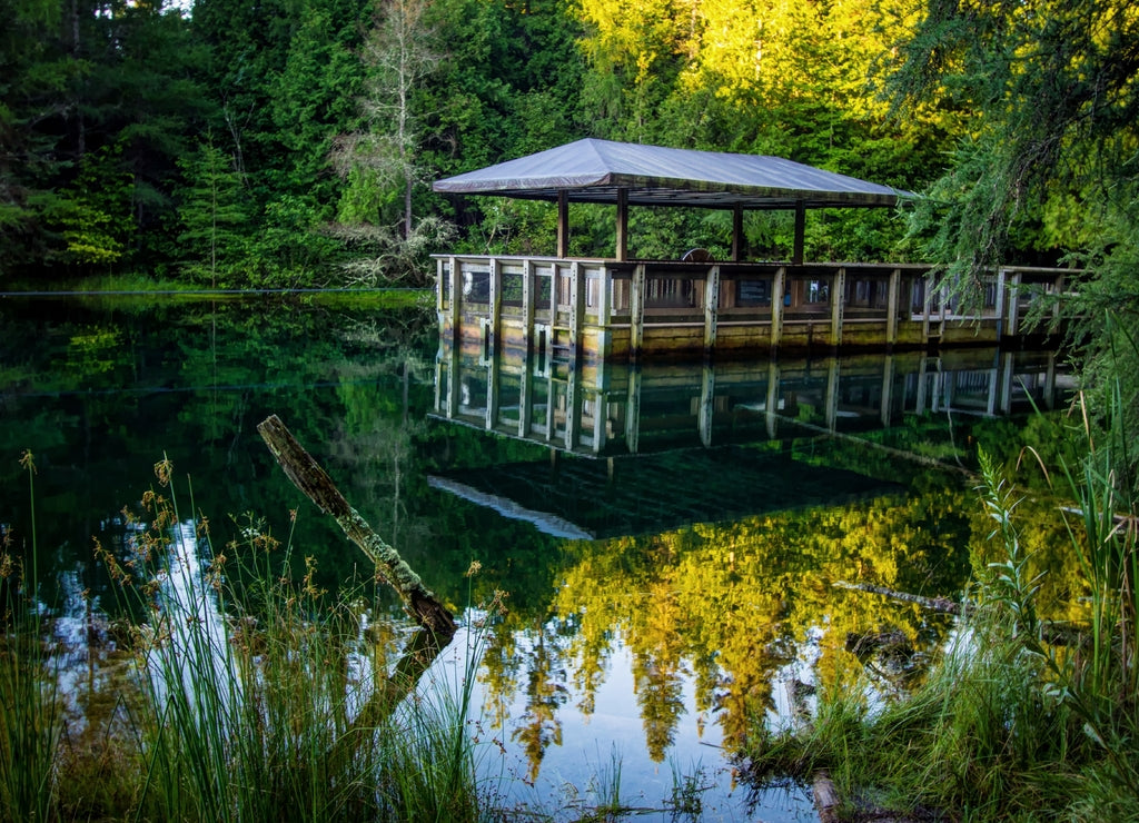 Michigan Largest Freshwater Spring. Kitich I ti ki pi is Michigan's largest freshwater spring and features a raft for visitors to view the springs in Palms Book State Park. Manistique, Michigan