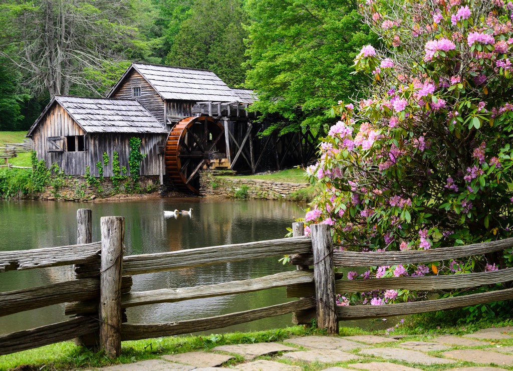 Blue Ridge Parkway North Carolina