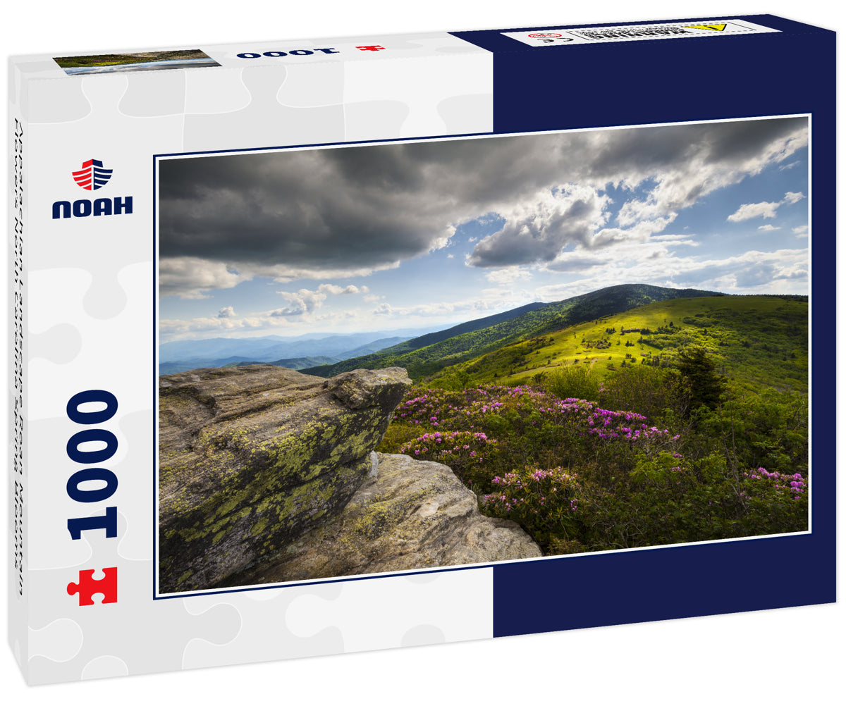 Appalachian Landscape Roan Mountain Flowers North Carolina Spring Blooms