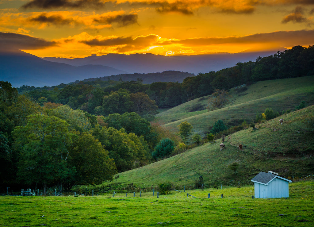 Sunset over rolling hills and farm fields at Moses Cone Park North Carolina
