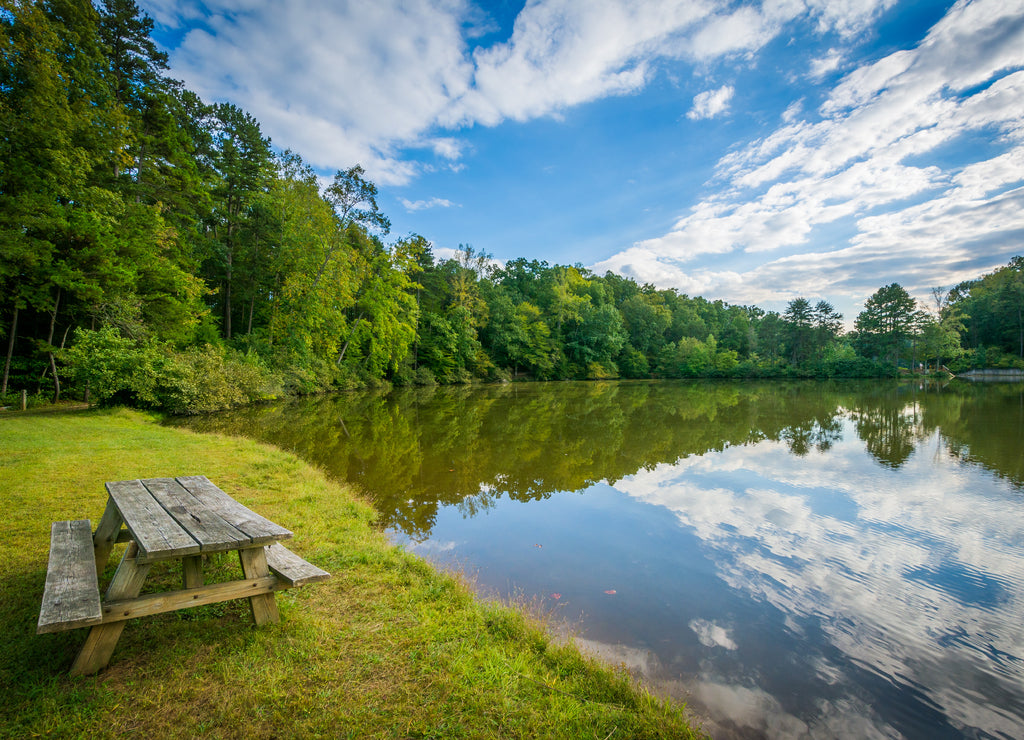 Bench on the shore of Lake Norman, Lake Norman State Park North Carolina
