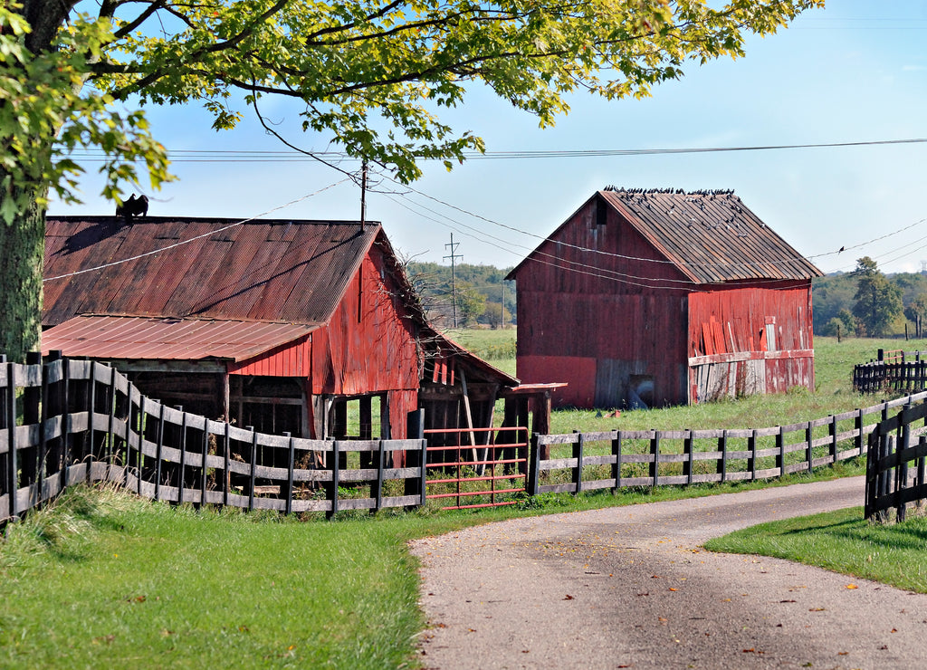 Ohio rural farm scene