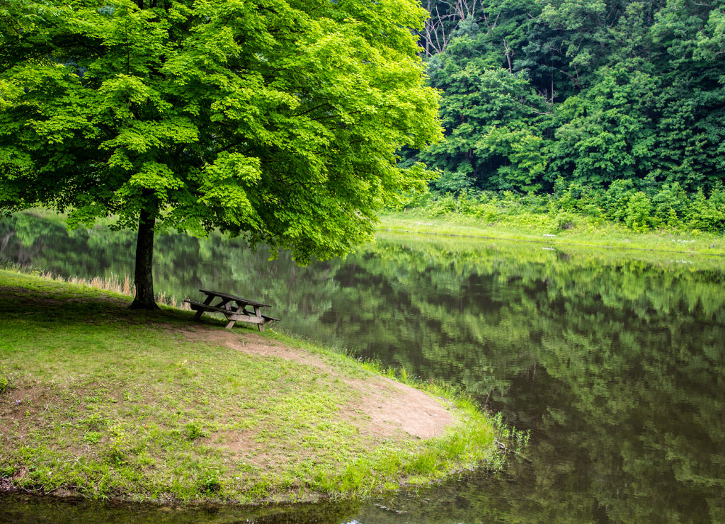 Ohio Scenic Landscape. Lush forest peninsula with picnic table at Scioto Trail State Park in Chillicothe, Ohio