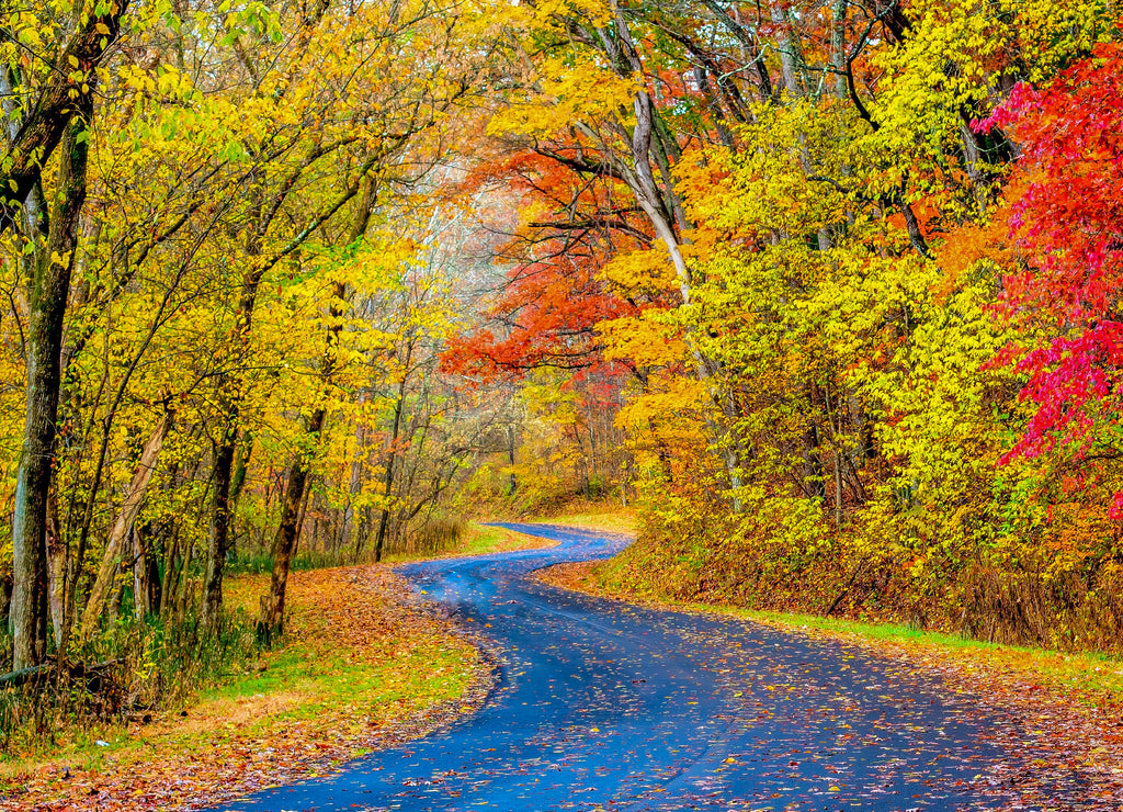 Winding road through autumn leaves in Hocking Hills Ohio