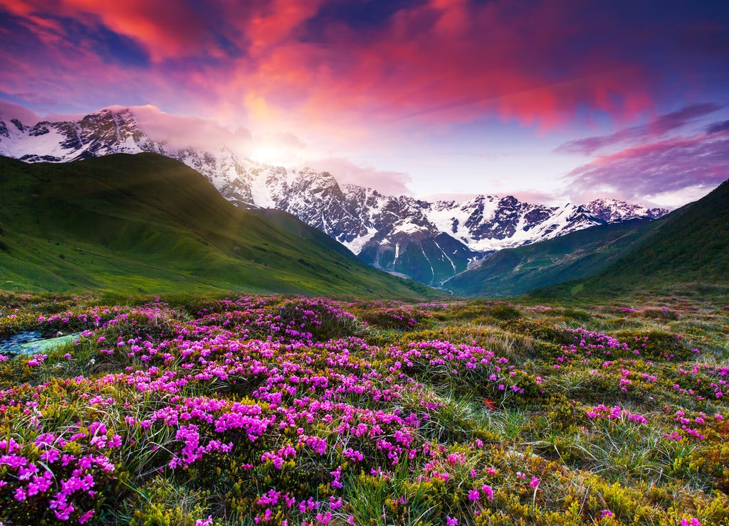 Mountain landscape