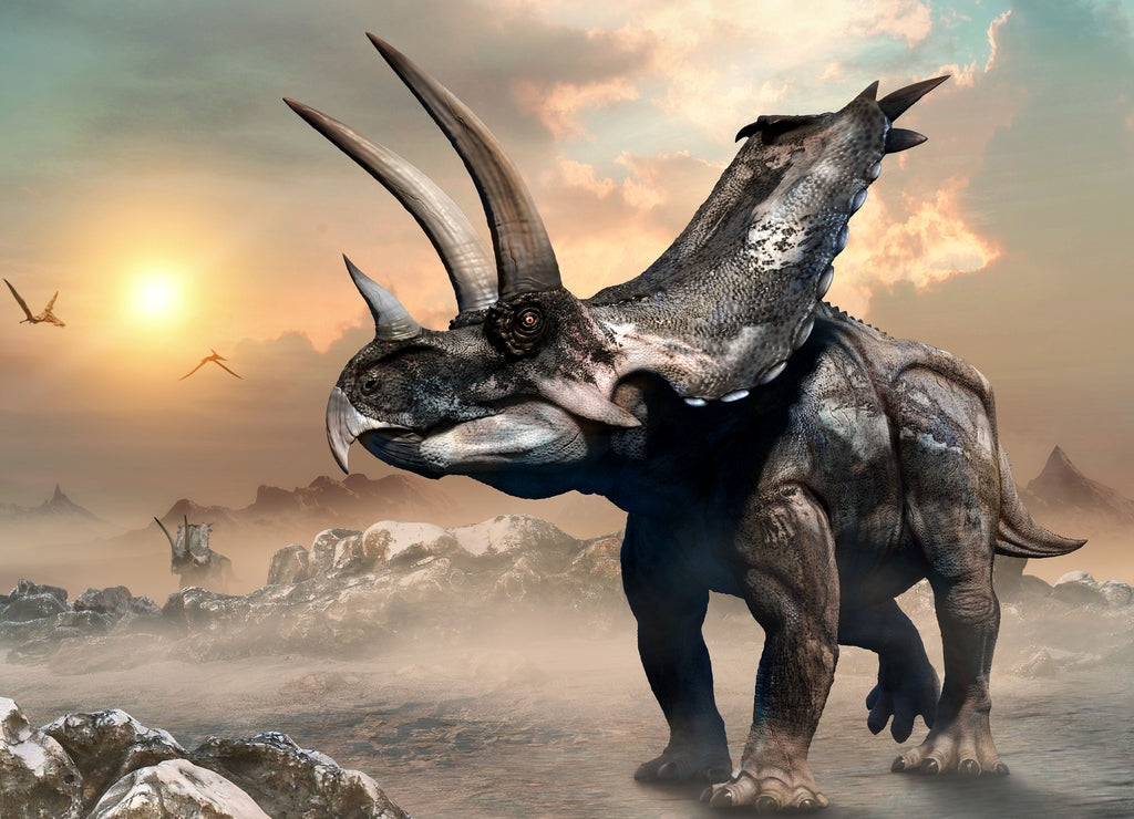 Agujaceratops dinosaur