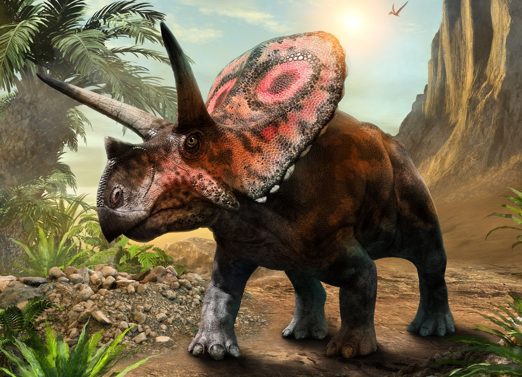 Torosaurus dinosaur