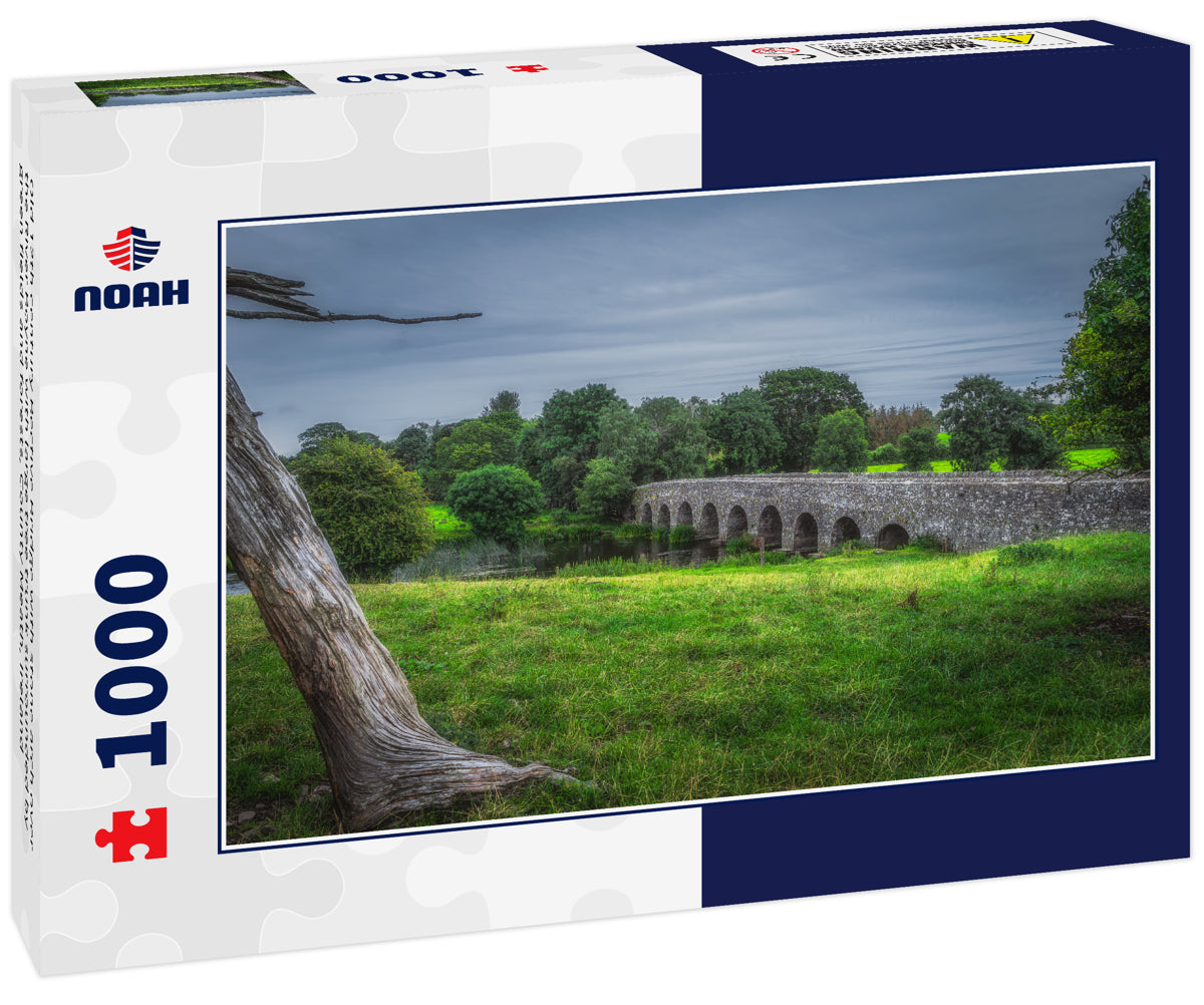 Old 12th century Bective Bridge with stone arch over the River Boyne with large tree trunk surrounded by green fields and forests, County Meath, Ireland