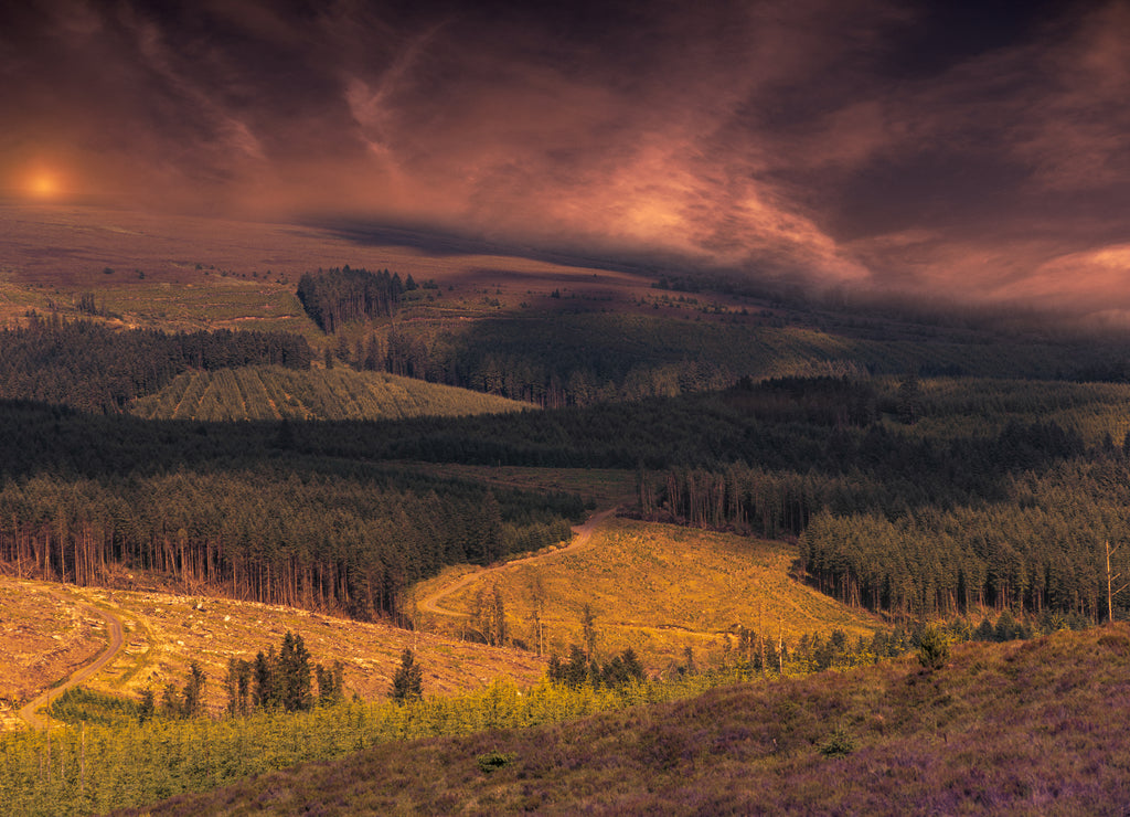 Slieve Bloom Mountains, picturesque sunset, Ireland