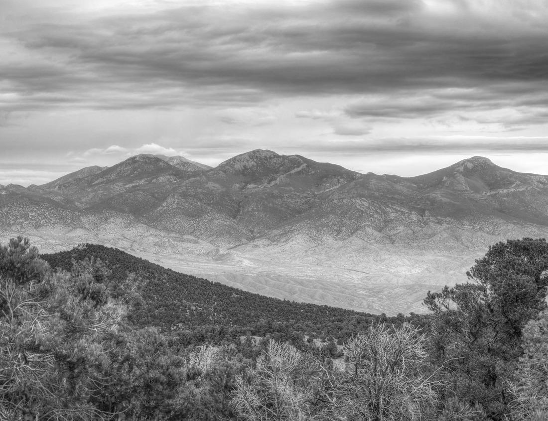 Noah Jigsaw Puzzle Indiana Dunes National Park Views in black white 1000 pieces