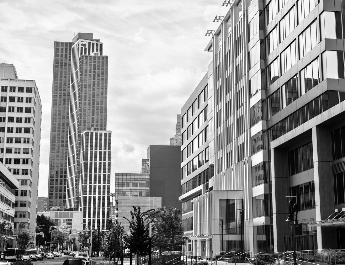Noah Jigsaw Puzzle Steller sea lions (Eumetopias jubatus) on a rock, Knight Inlet, Vancouver Island, British Columbia, Canada in black white 1000 pieces