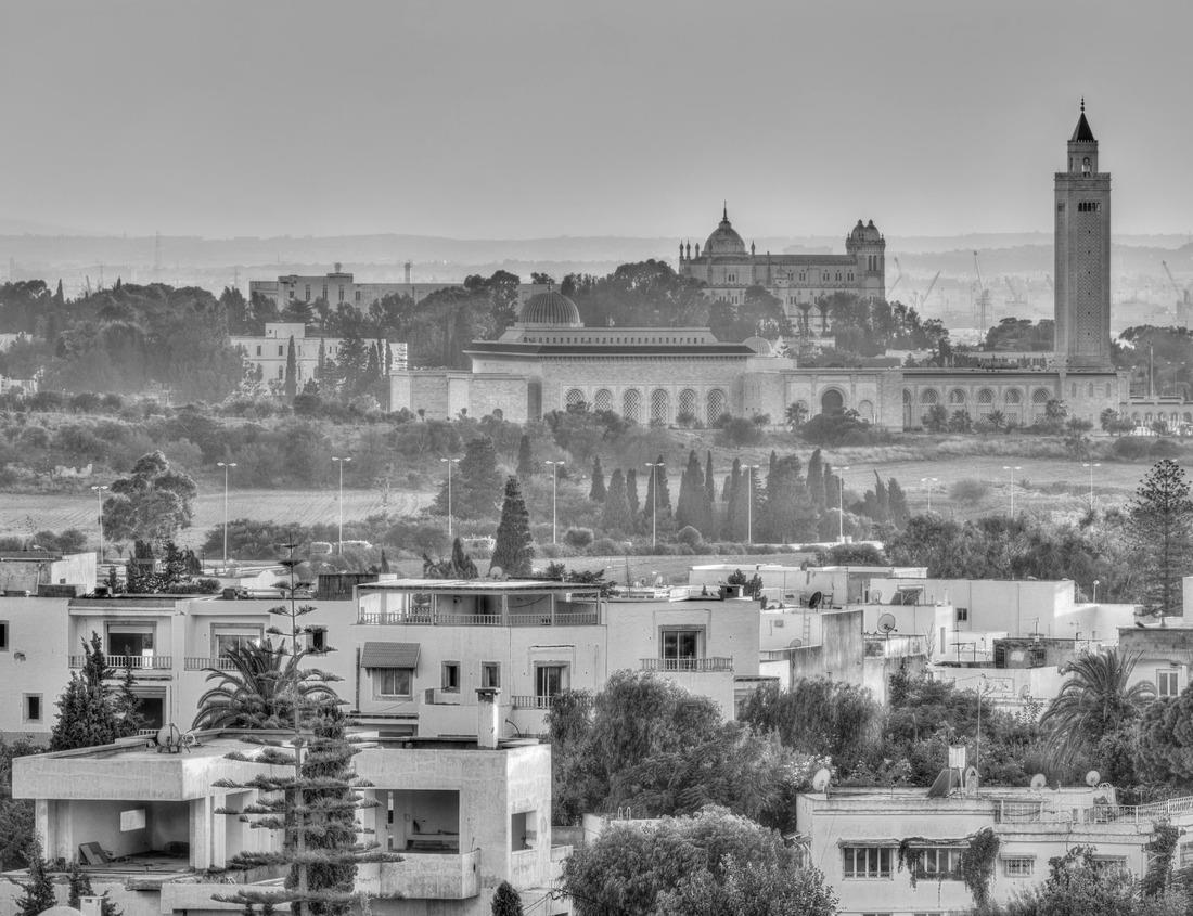 Noah Jigsaw Puzzle Jewish neighborhood in Montevideo, Uruguay in black white 1000 pieces