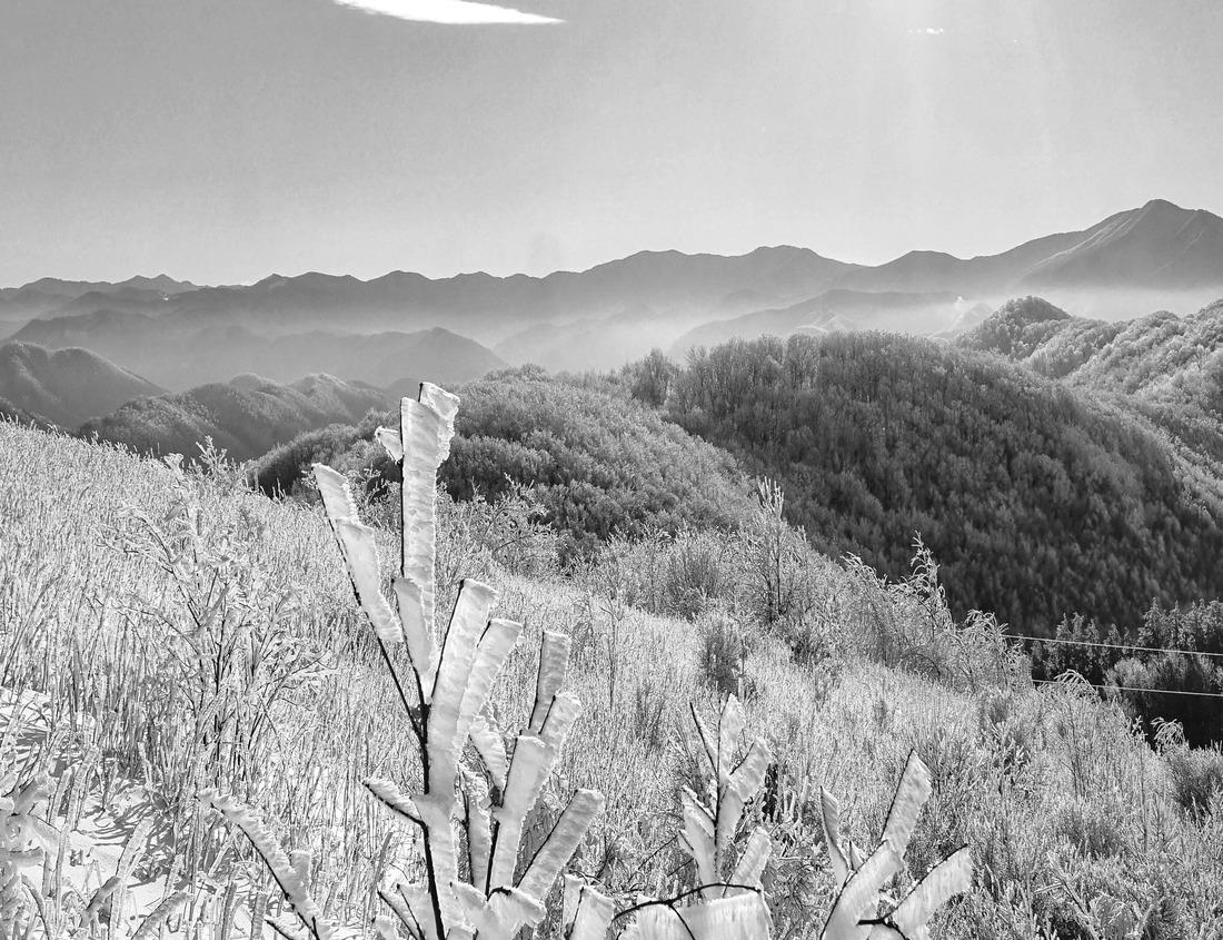 Noah Jigsaw Puzzle Aerial view from Bateria beach at Ilheu das Rolas at São Tomé e Principe, Africa in black white 1000 pieces