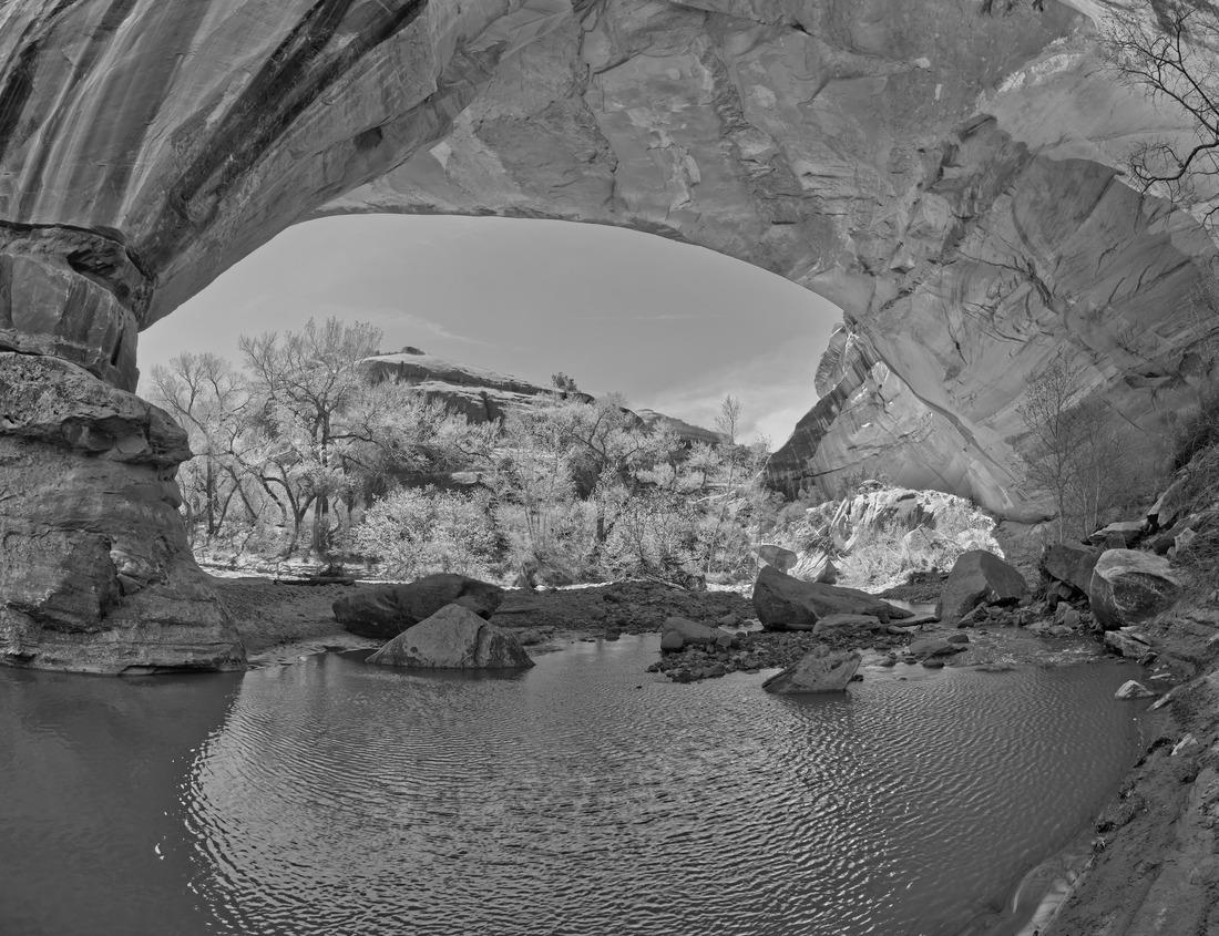 Noah Jigsaw Puzzle Matsumoto Nagano Japan, city skyline at Matsumoto Castle with autumn foliage season at sunset in black white 1000 pieces