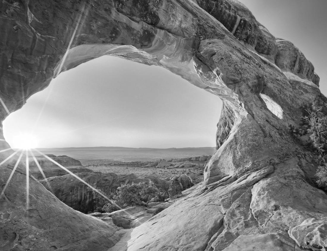 Noah Jigsaw Puzzle Old town of Weiden in der Oberpfalz in black white 1000 pieces