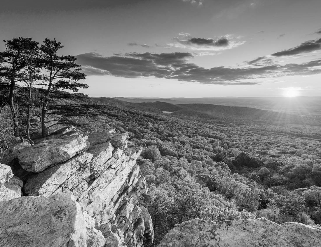 Noah Jigsaw Puzzle Chorin Abbey, Eberswalde, Brandenburg, Germany in black white 1000 pieces