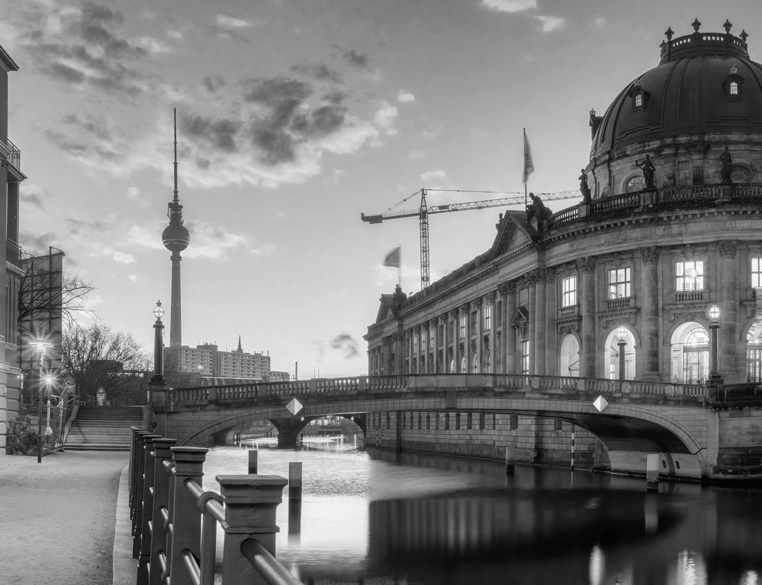 Noah Jigsaw Puzzle Wood-Bison in the Wood Bison Nature Park, in the Northwest Territories and Alberta, Canada in black white 1000 pieces
