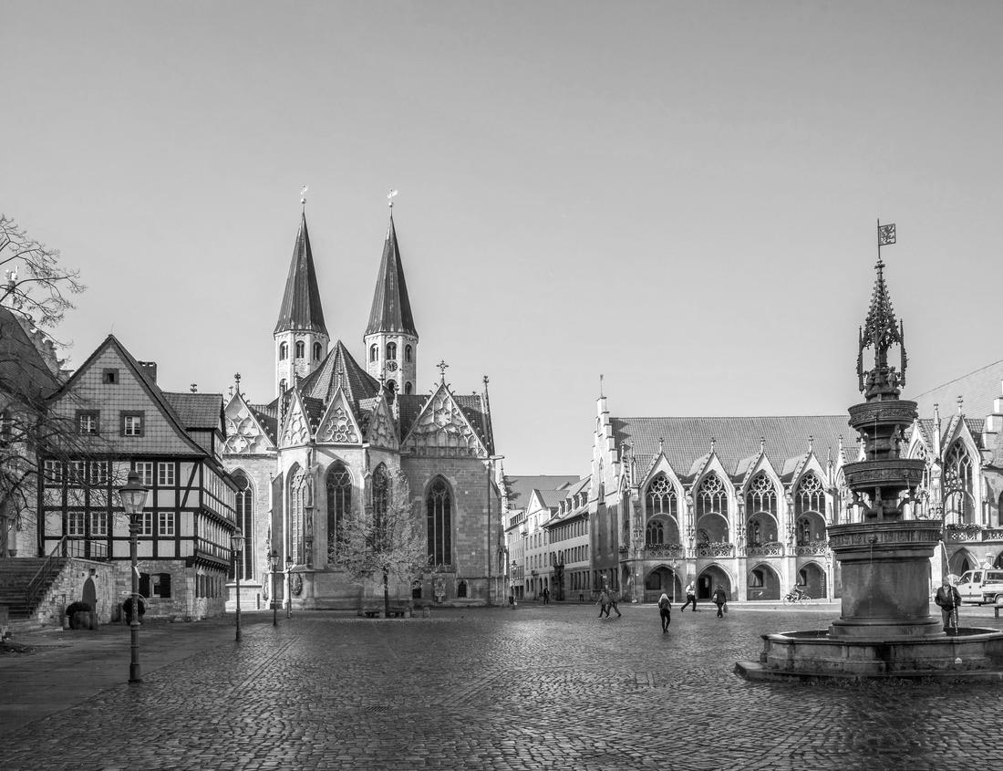Noah Jigsaw Puzzle Morning hike viewing mountains and colorful forest along Hurricane Hill Trail | Hurricane Ridge, Olympic National Park, Washington, USA in black white 1000 pieces