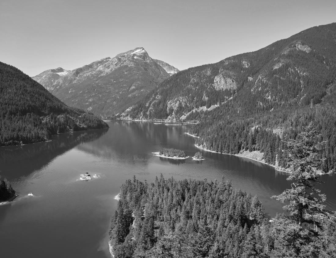Noah Jigsaw Puzzle Red bus on Westminster bridge next to Big Ben in London, the UK in black white 1000 pieces