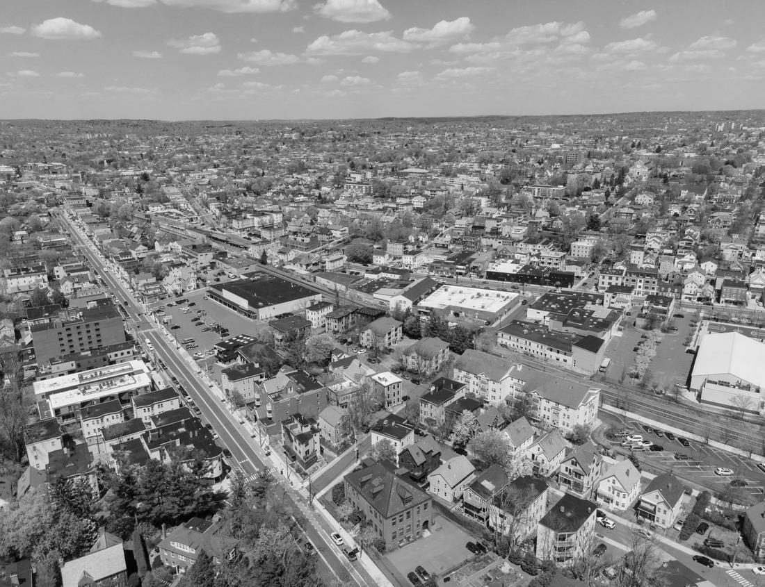 Noah Jigsaw Puzzle USA, Alaska, Gates of the Arctic National Park. Bull caribou in its summer habitat in black white 1000 pieces