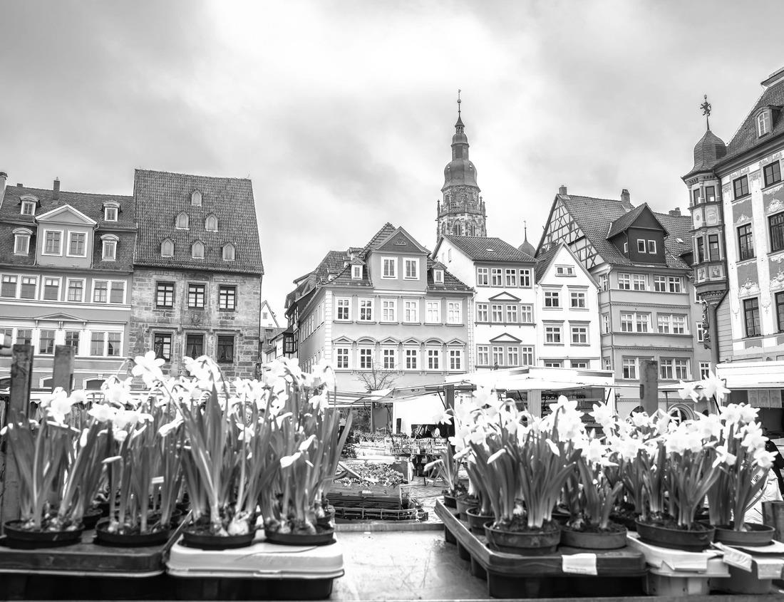 Noah Jigsaw Puzzle The Lisbon Waterfalls and their reflection over the river Lisbon with blue sky clouds, Panorama Route, Mpumalanga, South Africa in black white 1000 pieces