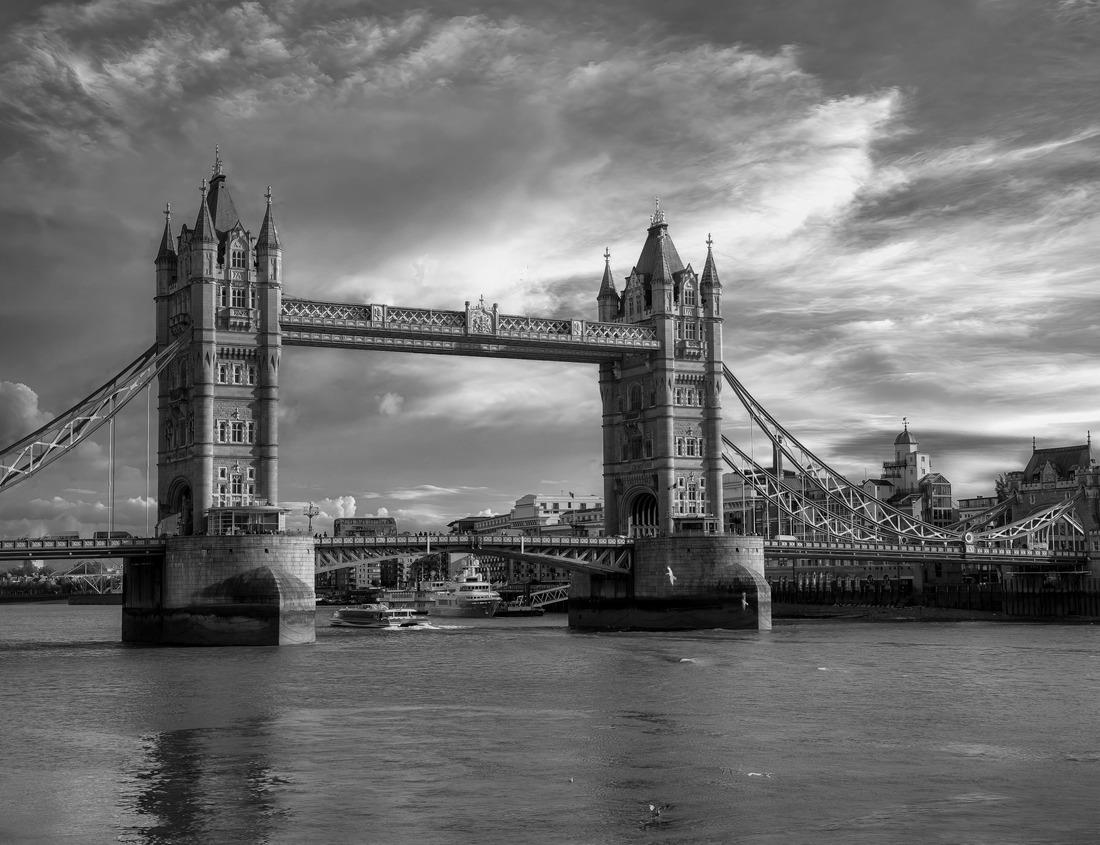 Noah Jigsaw Puzzle Aerial view of Savannah, Georgia skyline along River Street. Savannah is the oldest city in the U.S. state of Georgia and the county seat of Chatham County in black white 1000 pieces