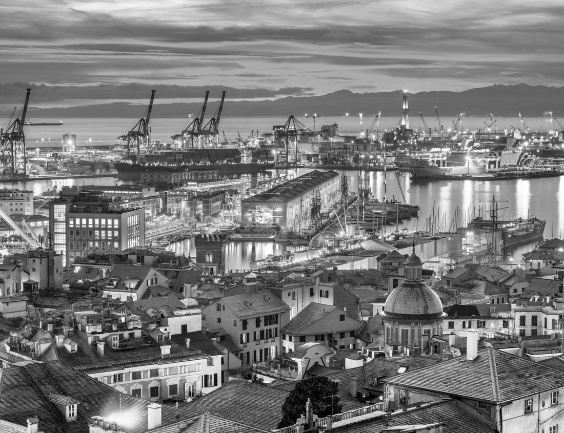The Alaskan Brown Bear (Ursus horribilis) in Lake Clark National Park Alaska 1000pc PuzzleBlack and White