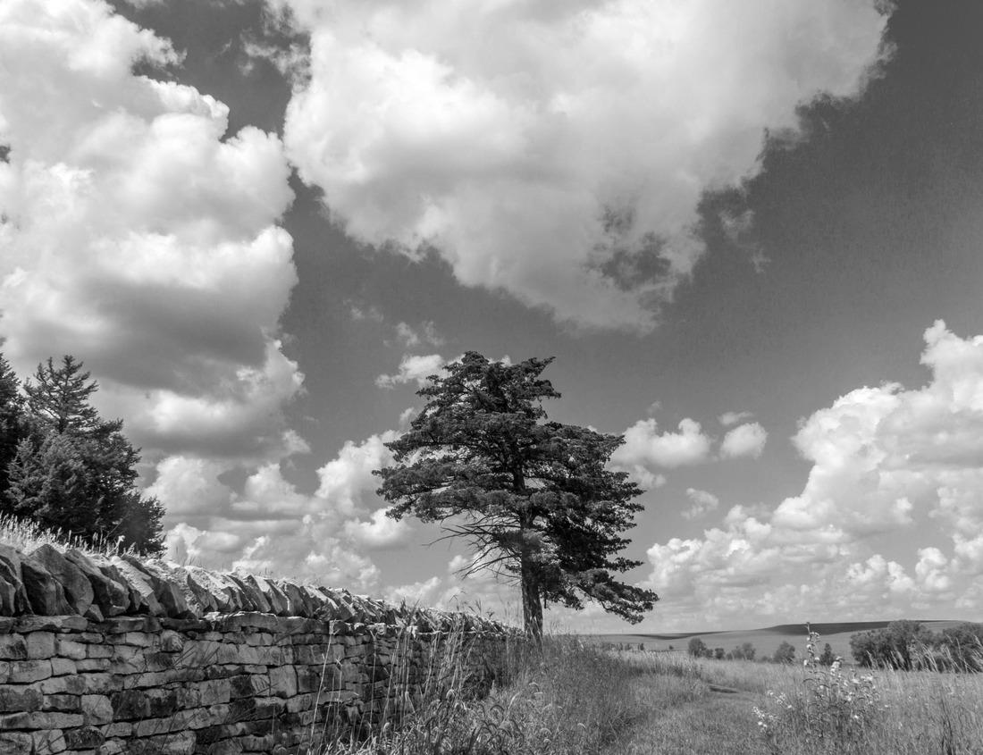 Noah Jigsaw Puzzle St. John's, Antigua overlooking the quay at dusk in black white 1000 pieces