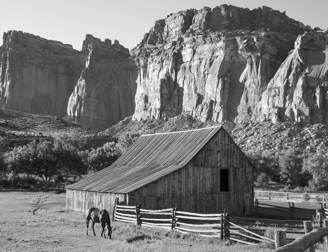 Noah Jigsaw Puzzle Old city of Wanfried, Hessen, Germany in black white 1000 pieces