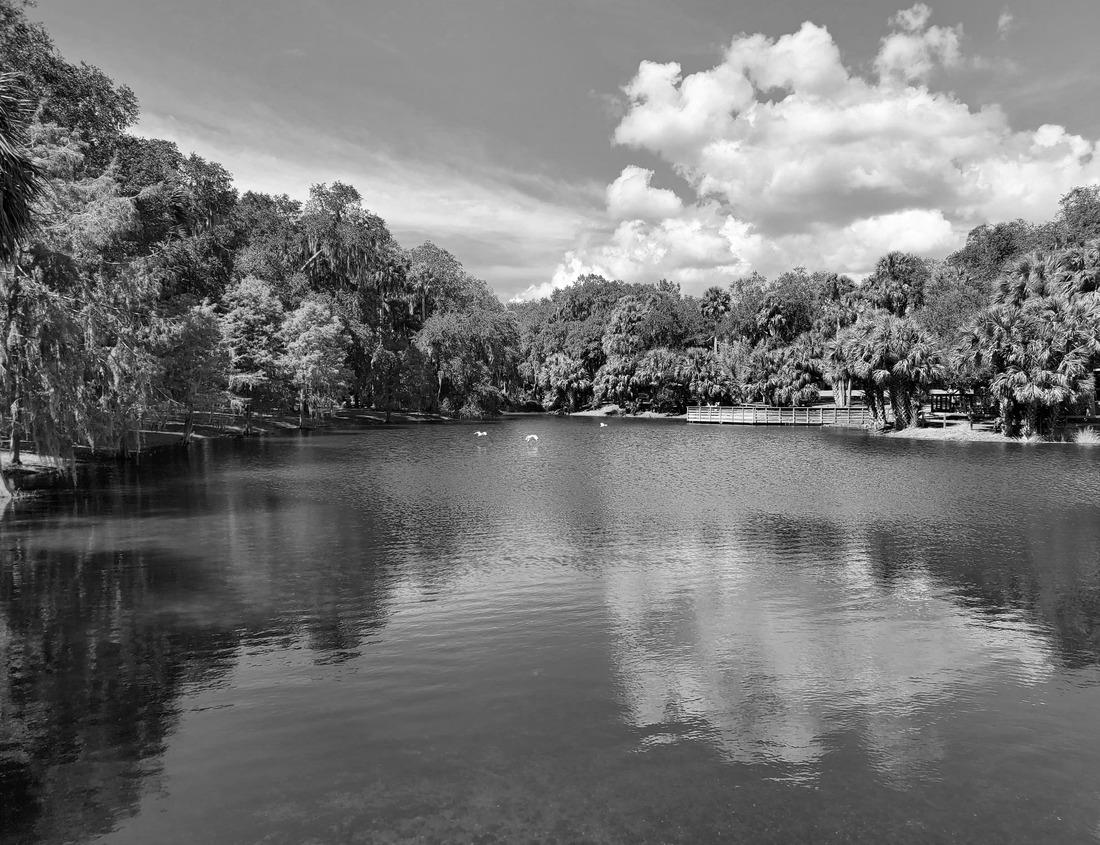 Noah Jigsaw Puzzle Beautiful stone and stucco house in Rochester, Minnesota, in summer in black white 1000 pieces