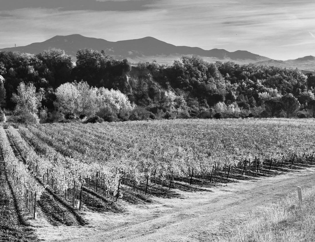 Noah Jigsaw Puzzle Aerial view of the Ruins of Great Zimbabwe in black white 1000 pieces
