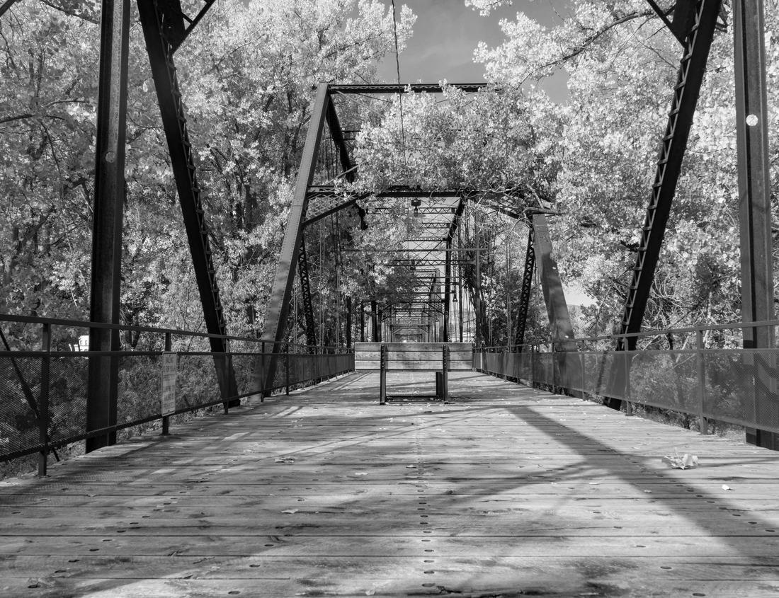 Noah Jigsaw Puzzle Rainforests in Kilimanjaro Mountain, in Tanzania in black white 1000 pieces