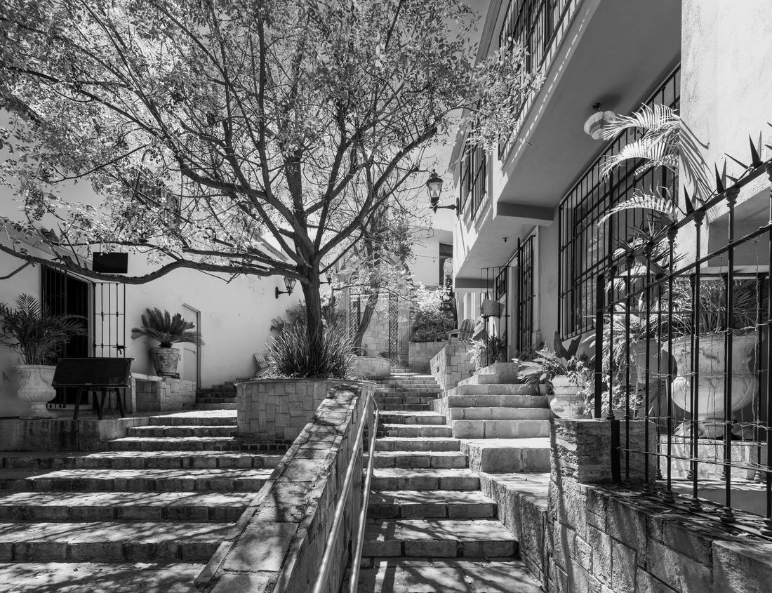 Noah Jigsaw Puzzle View from Rainbow Point in Bryce Canyon National Park in Utah during spring in black white 1000 pieces