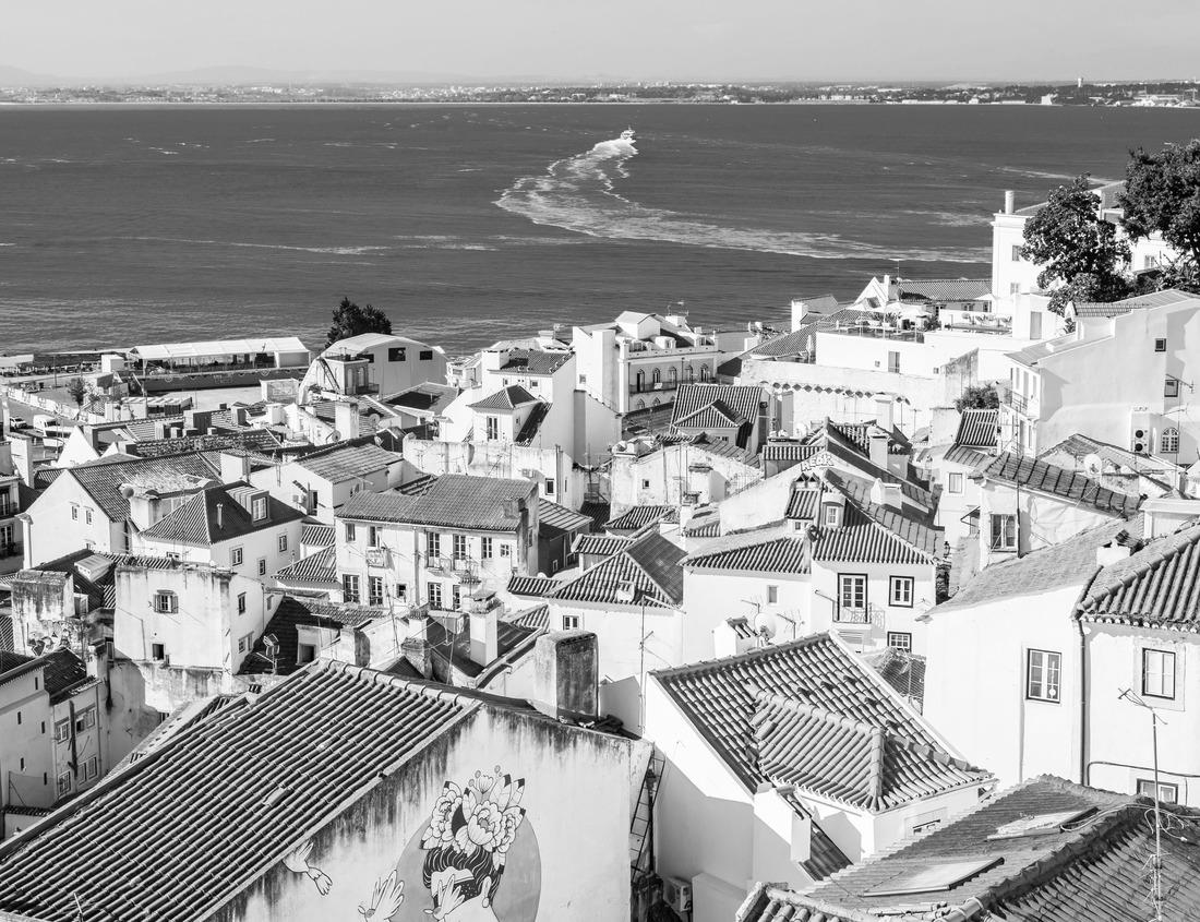 Noah Jigsaw Puzzle Panoramic view of Ridge Lake surroundings with Ridge Lake reflecting the background to the left and the meadow and mountain to the right at Lassen Volcanic National Park in black white 1000 pieces