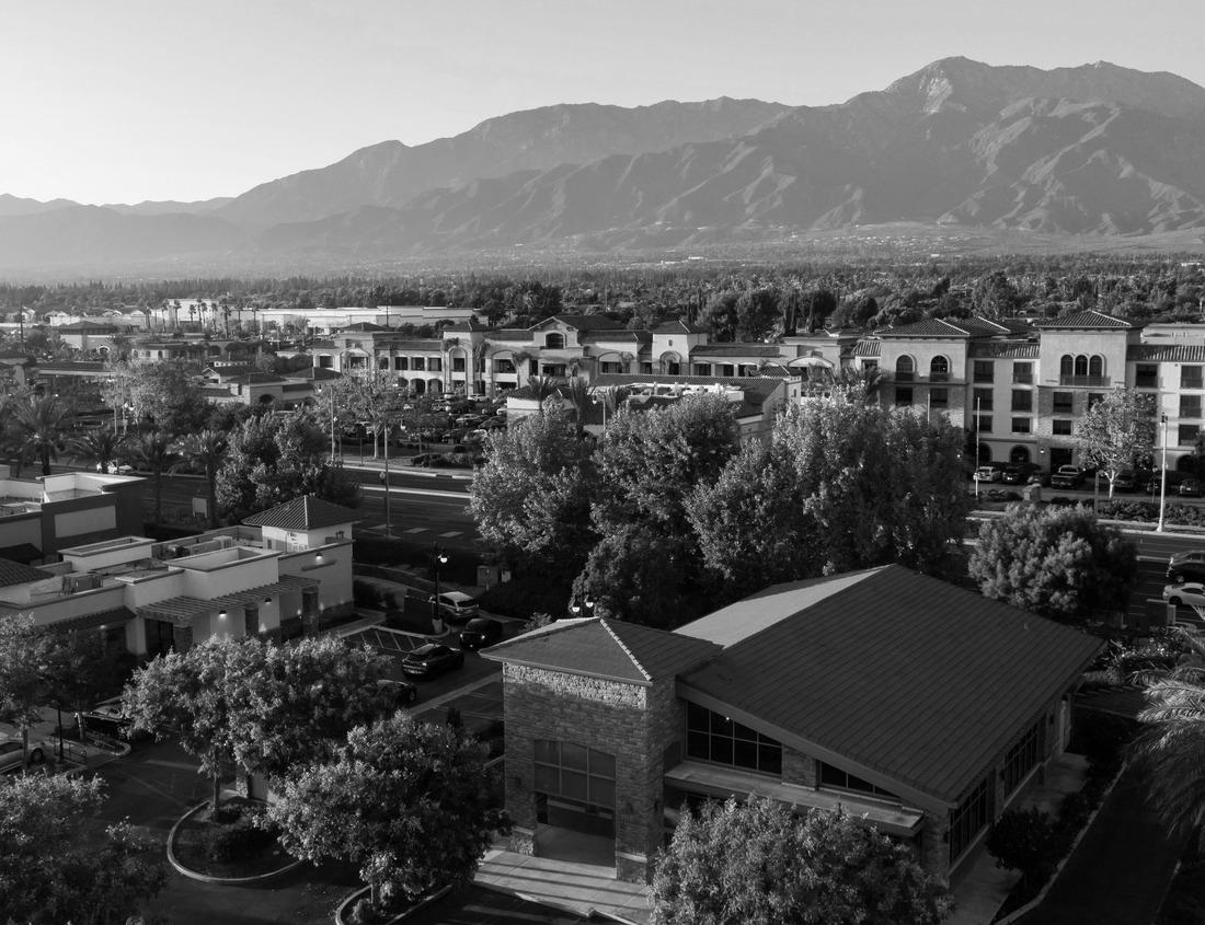 Noah Jigsaw Puzzle Hanamaki City, Iwate Prefecture Hydrangea in full bloom and a temple in black white 1000 pieces