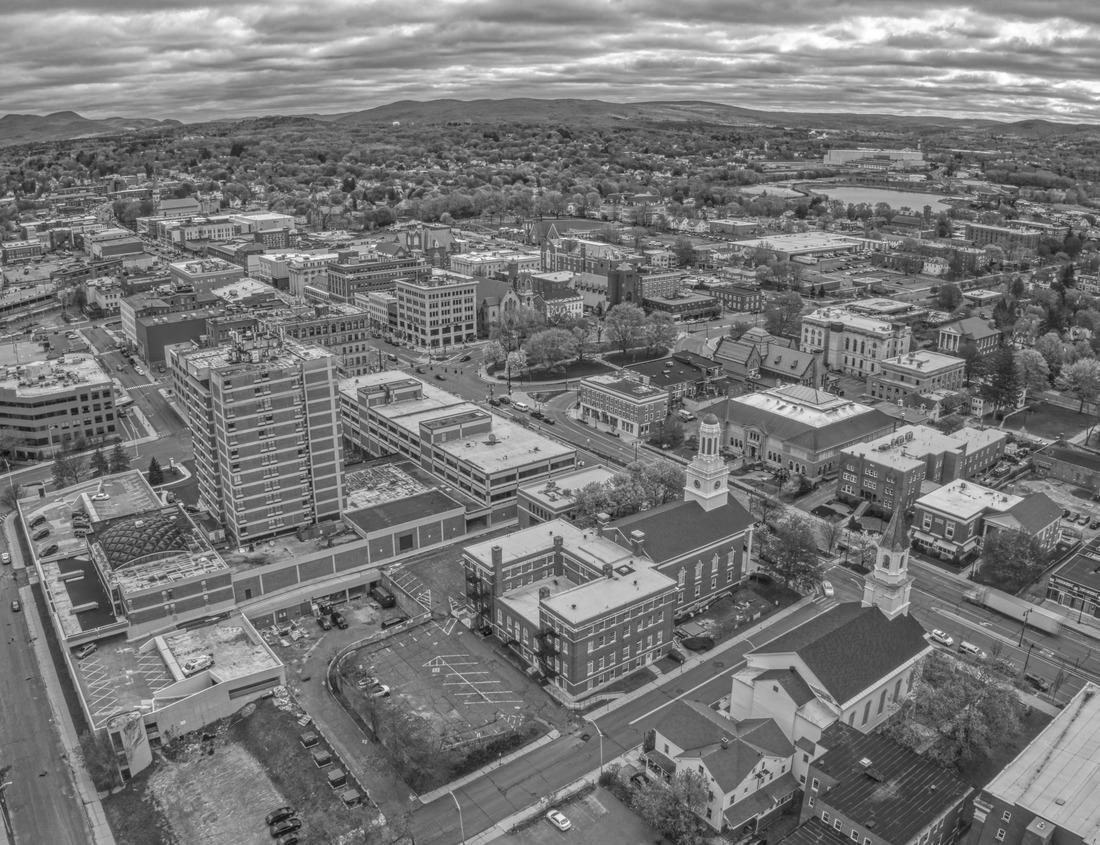 Noah Jigsaw Puzzle A bathroom scene in Louisiana with bog-covered trees in black white 1000 pieces