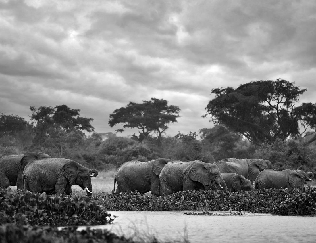 Noah Jigsaw Puzzle Kota Tua, Jakarta old town, the original downtown area of Jakarta, Indonesia in black white 1000 pieces