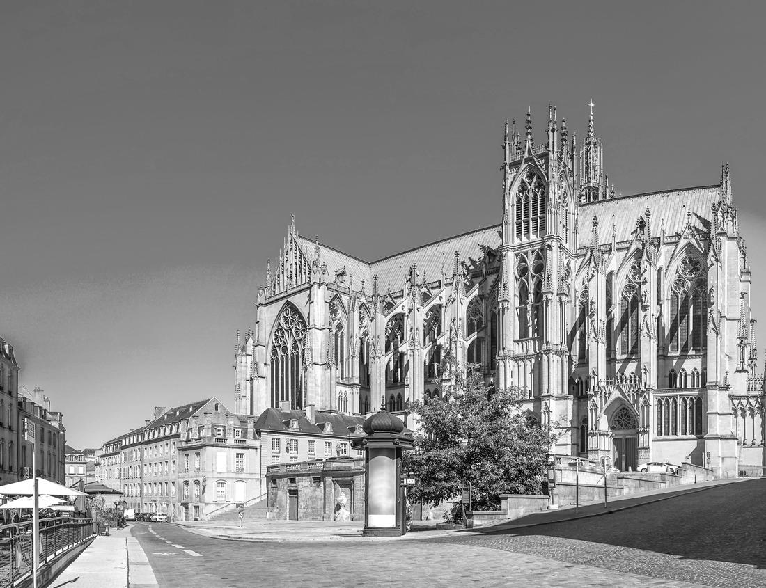 Noah Jigsaw Puzzle South African penguins colony of spectacular penguins water birds individual penguins and group in Simons Town Cape Town, Western Cape, South Africa in black white 1000 pieces