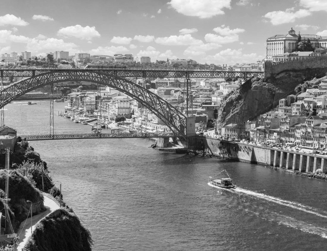 Noah Jigsaw Puzzle Saguaro Cactus in Saguaro National Park Arizona at sunrise in black white 1000 pieces