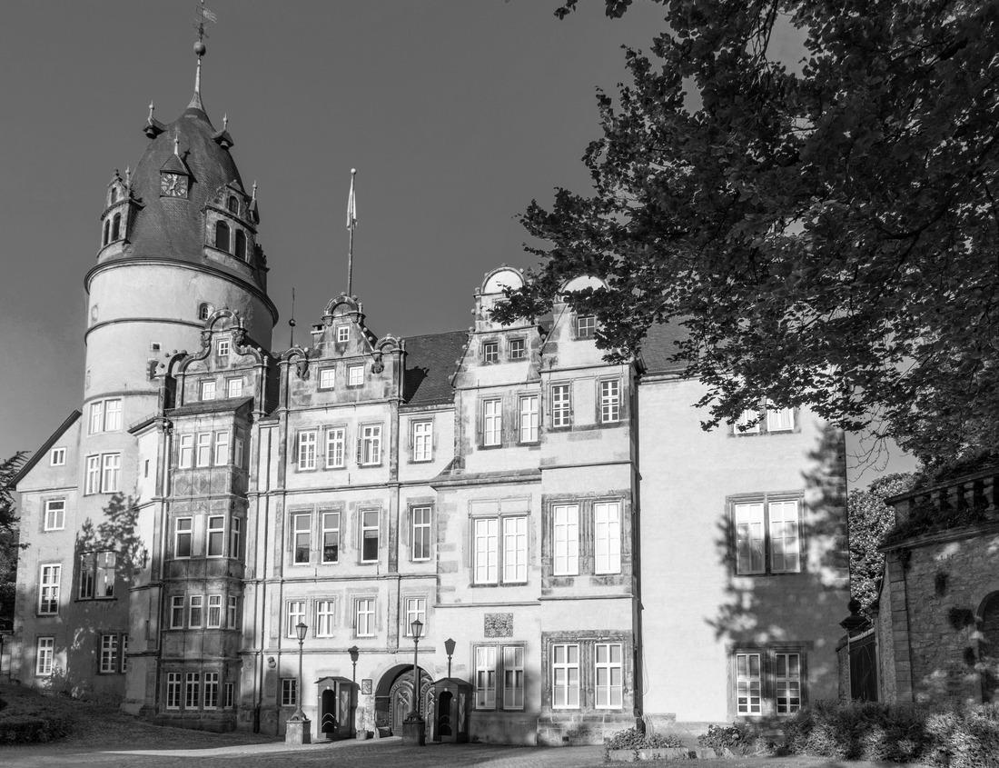 Windmill in Holland Michigan - An authentic wooden windmill from the Netherlands rises behind a field of tulips in Holland Michigan at Springtime 1000pc PuzzleBlack and White